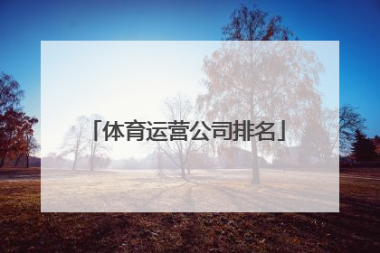 「体育运营公司排名」杭州电商运营公司排名