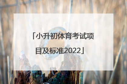 「小升初体育考试项目及标准2022」小升初体育考试项目及标准郑州