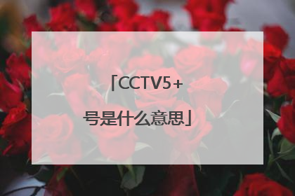 CCTV5+号是什么意思