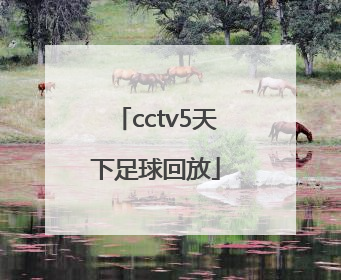 「cctv5天下足球回放」CCTV5天下足球主持人